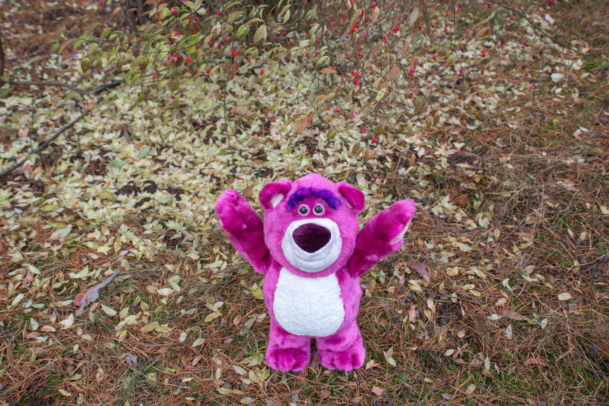 download lotso toy story download lotso toy story