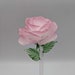 see more listings in the Flowers section