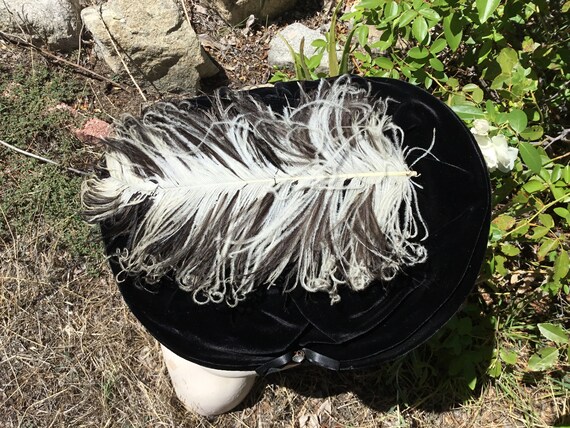 Vintage 50's Black Velvet Ostrich Feather New Loo… - image 6