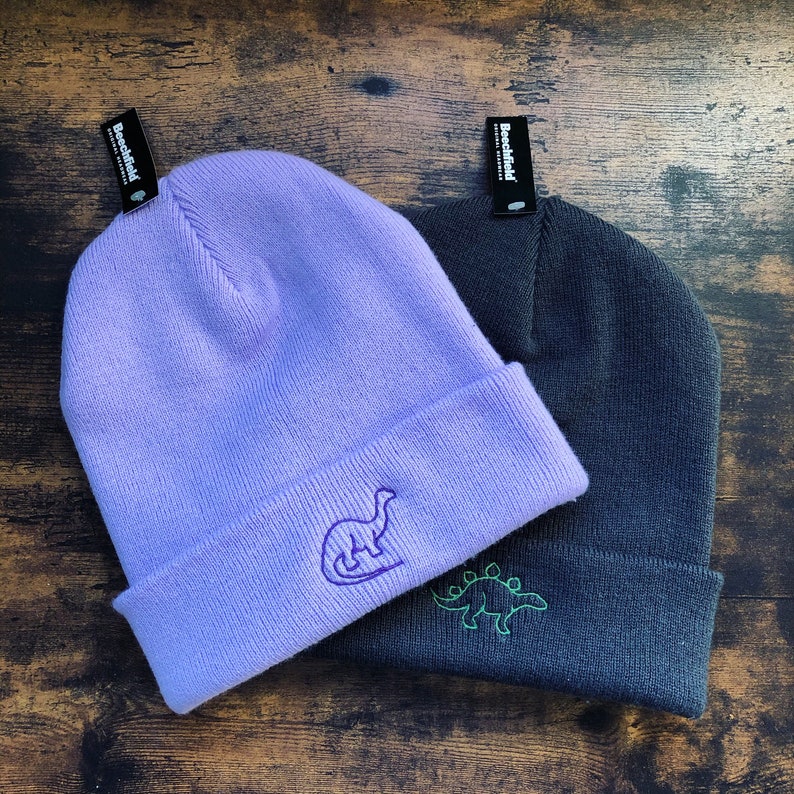 Dinosaur Embroidered Beanie, Adult Winter Hat, Cute Kawaii Aesthetic, Fun Children's Hat image 1