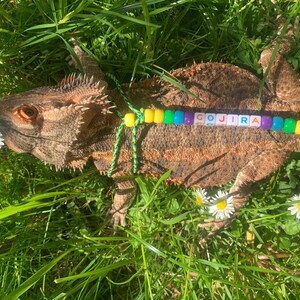 May include: A brown lizard with a green and yellow beaded necklace that spells out "GOJIRA" in white letters. The lizard is lying on a bed of green grass with white daisies.