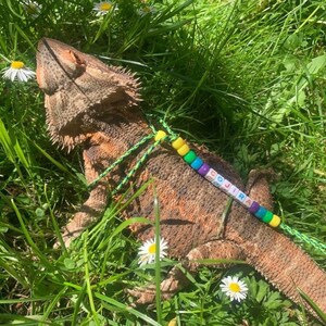 May include: A brown and green lizard with a beaded necklace that says "GOJIRA" on it. The lizard is lying on a bed of green grass and white flowers.