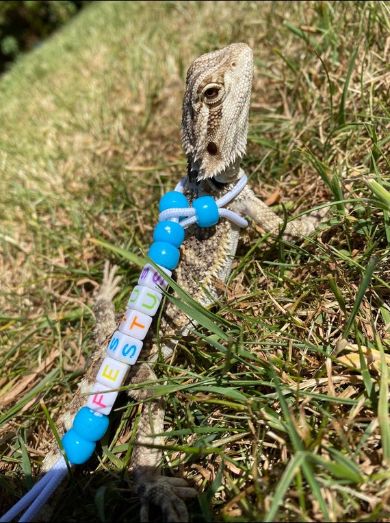Custom Name Reptile Lead/Leash/Harness