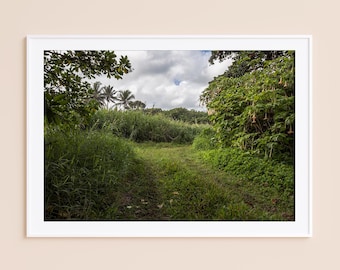 Maui Hawaii Photography Print: Tropical Green Landscape, Framed Nature Wall Art