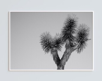 Black and White Joshua Tree Print: Minimalist Desert Photography