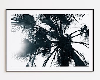 Palm Tree Photography, Black and White Botanical Wall Art, Tropical Nature Print, Coastal Palm Decor, Framed Fine Art