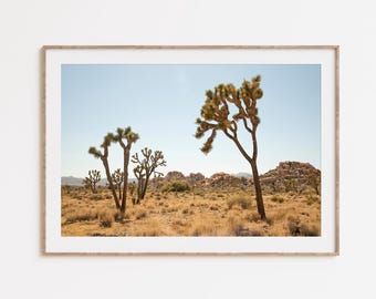 Joshua Tree National Park Print, California Desert Photography, Framed Joshua Tree Wall Art, Mojave Desert Landscape Photo