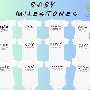 Monthly milestones baby bodysuits, Baby shower gift, Baby gift idea, Baby girl one piece, baby boy one piece, Unique baby picture outfits