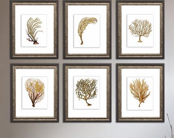 Coastal Decor Sea Fan Coral set of 6 wall art prints in brown sepia orange bedroom beach decor