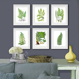 Fern print set of 6 Fern wall Art prints Unframed Green Nature Botanical House Plant Decor