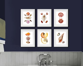 Seashells Bathroom Set of 6 art prints, Beach bathroom Decor, seashell bathroom decor, seashell wall decor, housewarming gift for her