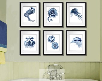 Beach decor Navy decor Jellyfish Print Set of 6 Sea life art print 8x10 Coastal Decor Bathroom Wall Art,  Bathroom decor