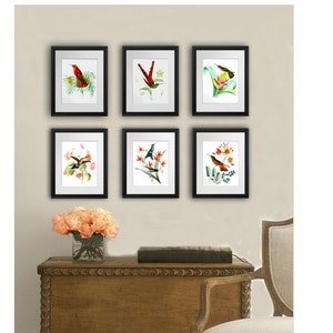 Kolibri-Wand-Dekor-Set aus 6 ungerahmt Kolibri und botanische Drucke Kolibri-Geschenke für Sie