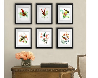 Hummingbird wall decor Set of 6 unframed Hummingbird and botanical prints Hummingbird gifts for her