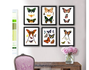 Butterfly Wall Art set of 6 unframed prints Girls room nursery decor