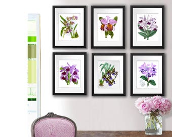 Orchid Flower Drawings Set of 6 Unframed Orchids Wall Art Tropical Home Decor