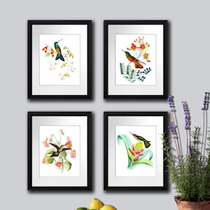 Hummingbirds print set of 4 Unframed Etsy Wall Art Hummingbird Pictures
