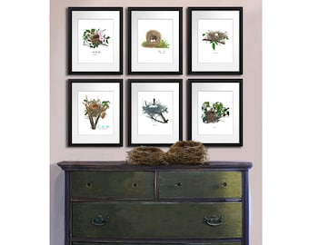 Gift for mom, Spring Decor Vintage Bird Nest Prints Set of 6 Bird Egg Nursery Decor Wall Art prints 8x10 Shabby Chic Room Wall Decor
