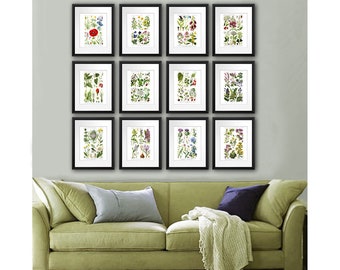 Wild Flowers Art Prints set of 12 English Country Decor Wild Flower Wall Art