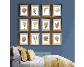 Beach Wall Decor Sea Fan Art Sea Coral Prints Set of 12 unframed Neutral Art Prints