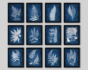 Indigo Fern Prints Set of 12 unframed Fern Prints with blue background Fern_inverted_Navy12A