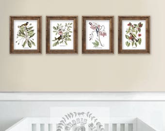 Juego de 4 impresiones de aves y botánicas sin marco para la decoración de la pared de la guardería.