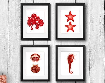 Beachy Decor Art Set of 4 unframed Etsy wall art Coral Red Seashell Seahorse Starfish Seaweed Illustrations