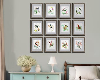 Hummingbirds Wall Art a Set of 12 Unframed Art Birds and Botanical Art Prints Cottagecore Grandmillenial decor