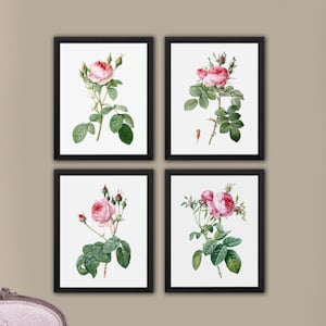 Rose Wall Art Decor Pink Roses set of 4 unframed prints, Girls nursery decor, Gift for mom, girls room decor