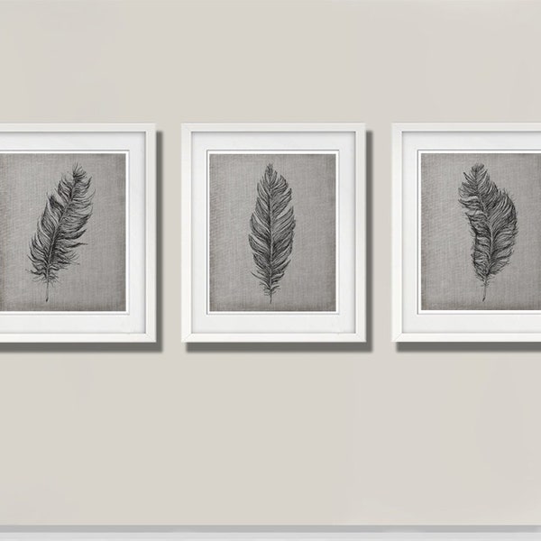 Feather Art Print Set of 3 Unframed Gray Pen and Ink Drawings Great As Feather Nursery or Bedroom Decor