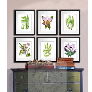 Orchids Fern Botanical Art Print set of 6 Unframed Wall Decor Prints #6B01