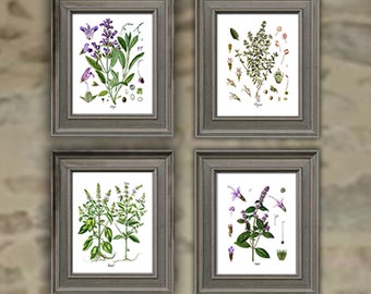 May include: Four framed botanical prints of herbs with purple flowers and green leaves. The prints are arranged in a grid pattern on a gray stone wall.
