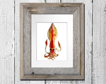 Coastal Decor Wall Art Red Squid Print Cephalopod No.12 Sea Creature Kids Bedroom Nautical Wall Art Decor  8x10 GnosisPictureArchive