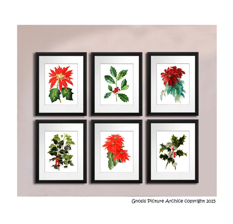 Christmas Wall Decor Set of 6 Art Prints 602 Poinsettia Etsy