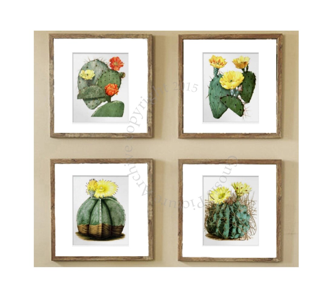 Succulent Plant Cactus Wall Art Set of 4 Unframed Southwest Decor - Etsy