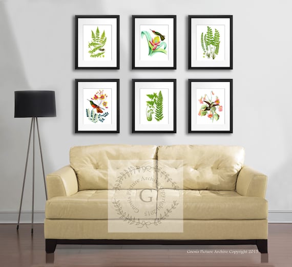 Spring Home Decor, Hummingbirds and Ferns Set of Botanical Prints set of 6 Wall Art Prints #6B03 antique birds botanical prints Gnosis