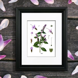botanical herb prints set of 4 unframed botanical herb... Botanical Herb Prints Set of 4 Unframed Botanical Herb Kitchen Decor ...