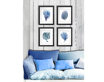Blue Sea Coral print Set of 4 art prints, Mediterranean Decor beach decor coastal decor art antique natural history GnosisPictureArchive