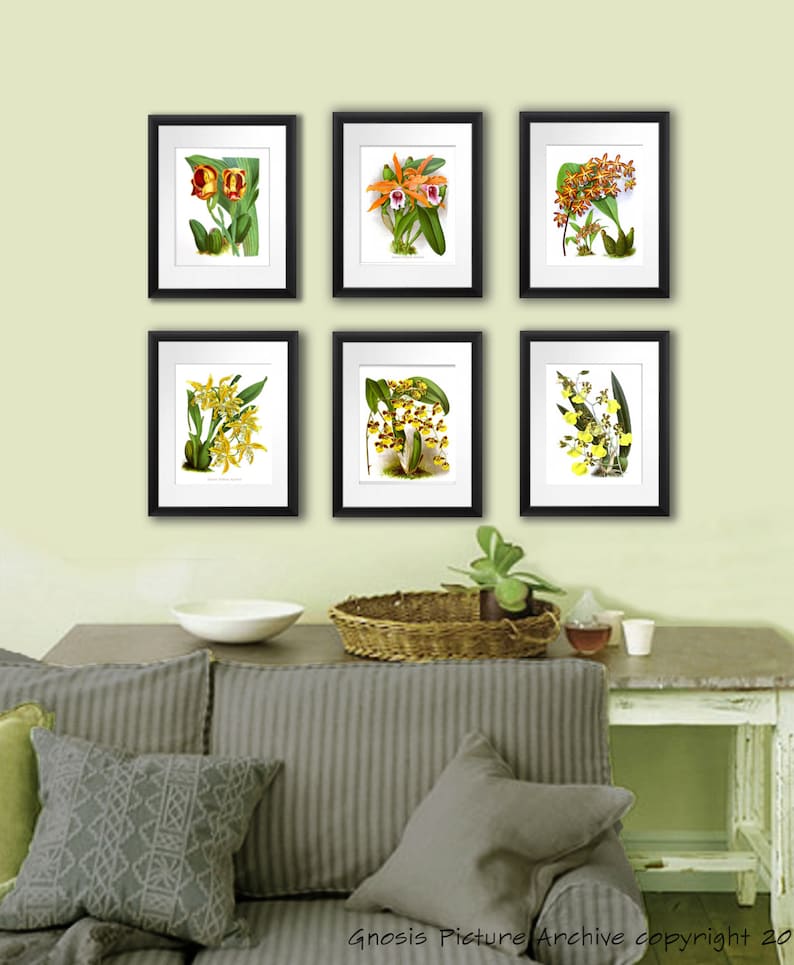 Antique Botanical Print Orchid No.8 Bathroom Wall Art Decor Etsy