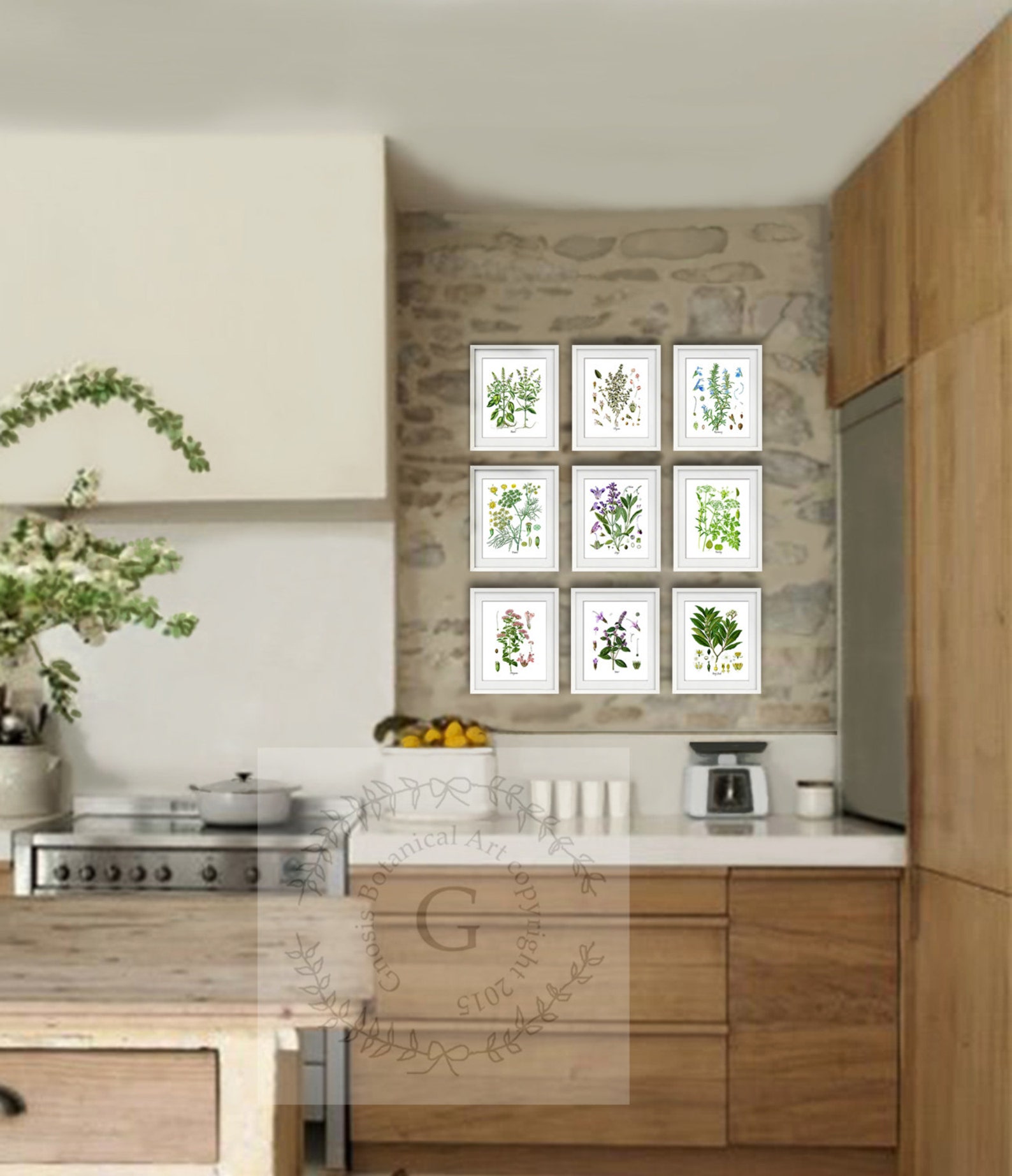 Herb Prints Set of 9 Herb Botanical Prints Wall Art Gift for Her ...