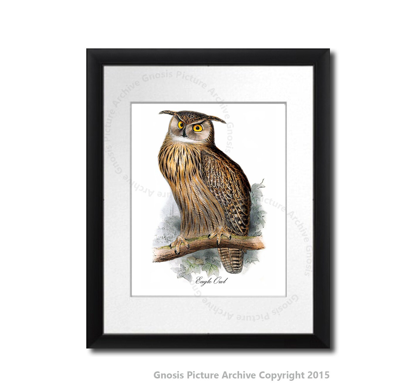 Owl Wall Decor Set of 12 Prints Owl Wall Art Owl Nursery Etsy Australia