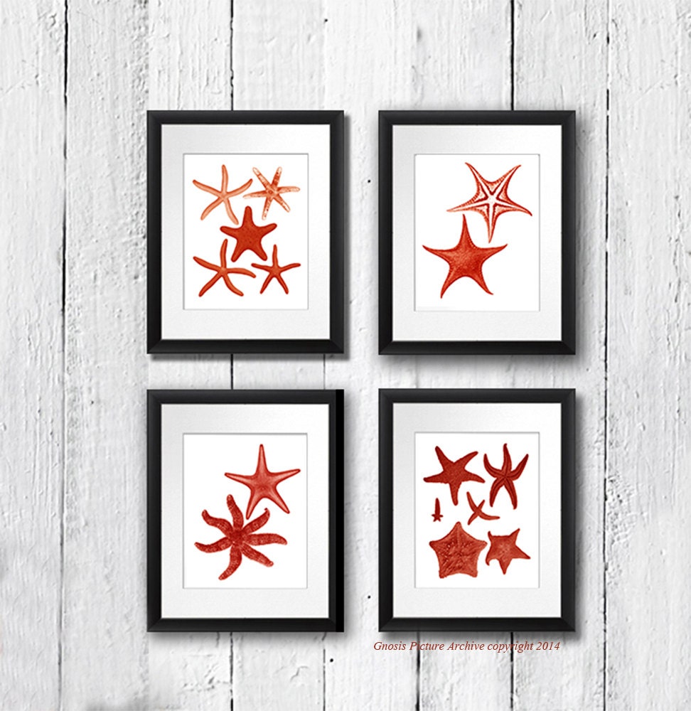 Set of 4 Red Starfish Art Prints for Beach House Wall Decor - Etsy