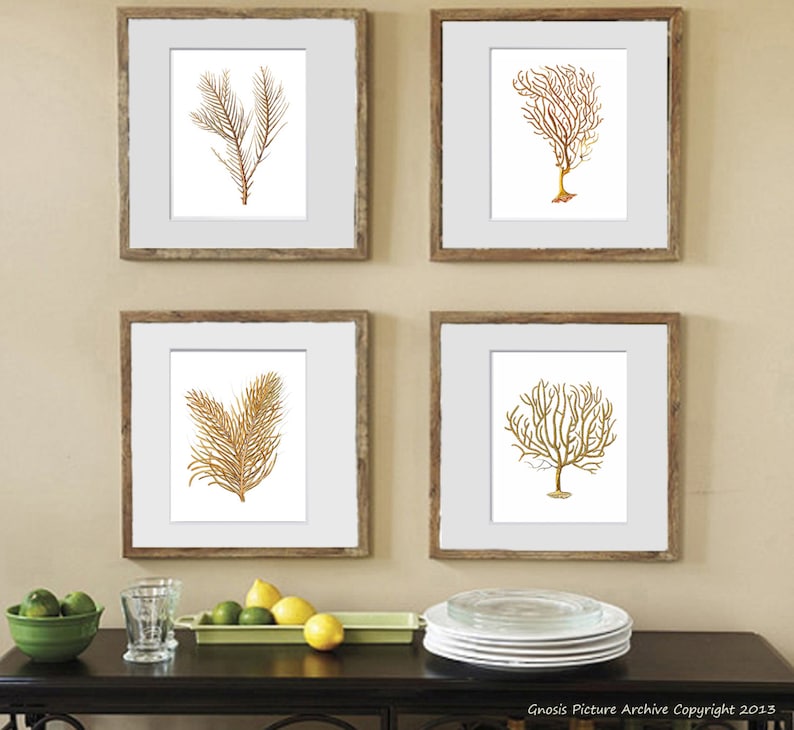 Sea Fan Art Print Sea Coral Prints Set of 4 Beach Wall Decor Etsy