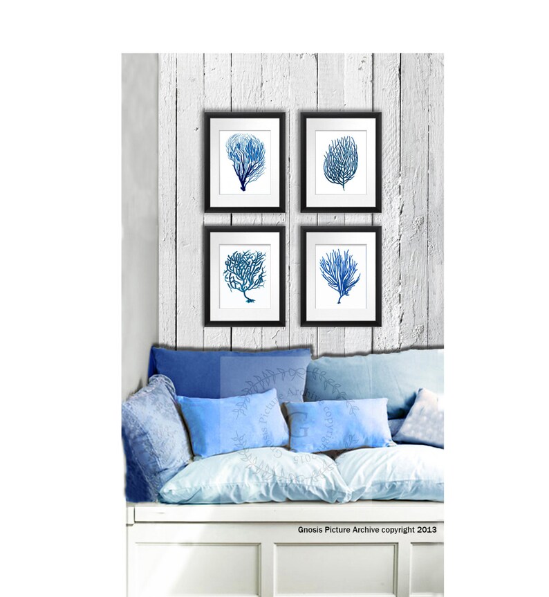 Blue Sea Coral Wall Art Prints Set of 12 Beach House Decor Etsy
