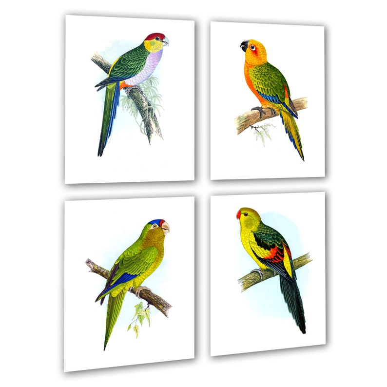 Tropical Birds Wall Decor Set of 4 Unframed Parrots Wall Art - Etsy