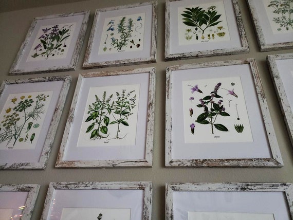 Grandmillenial Decor Medicinal Herbs Botanical Kitchen Decor set of 12 unframed prints Gift for Mom