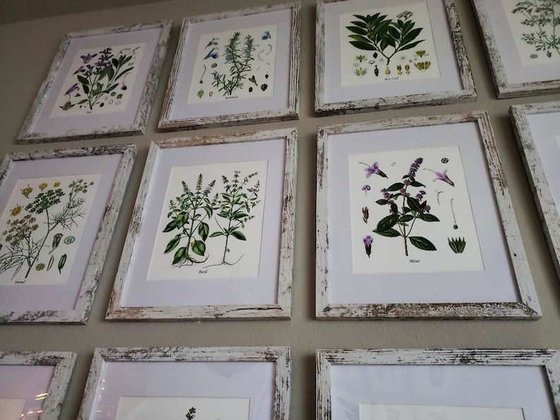 May include: A wall gallery of framed botanical prints featuring various herbs and flowers, including dill, basil, mint, and rosemary. The frames are white with a distressed finish.
