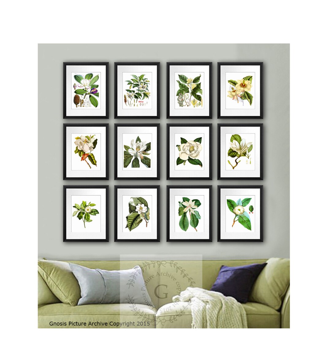 Magnolia Pictures Wall Decor Set of 12 Unframed Magnolia Flower Decor ...