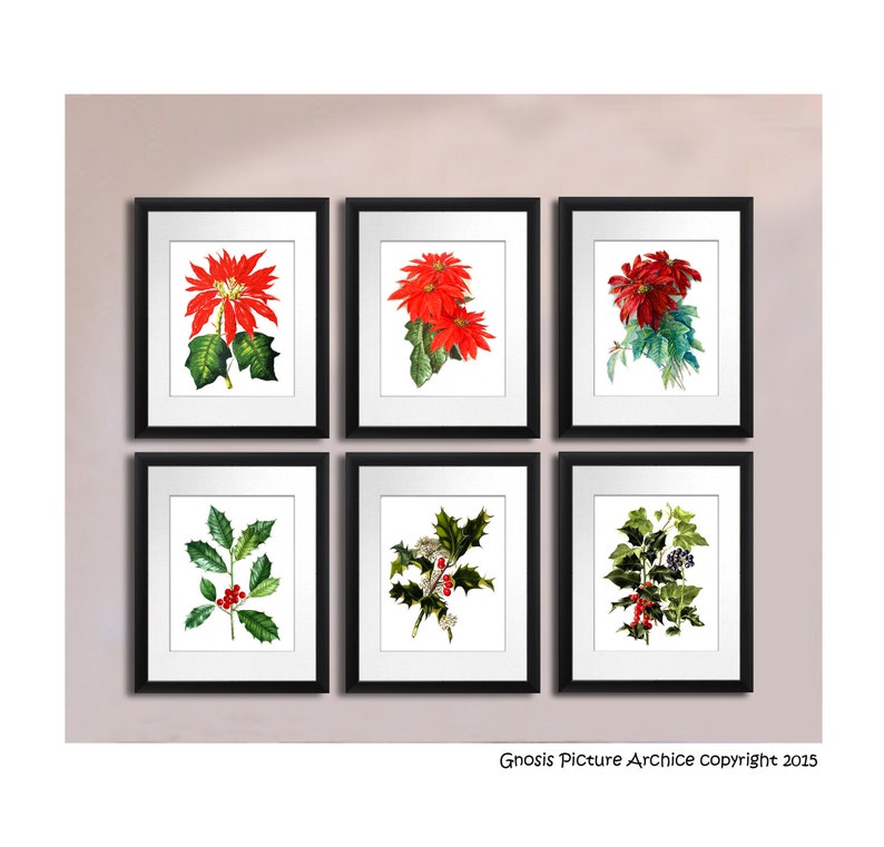 Christmas Wall Decor Set of 6 Art Prints 602 Poinsettia Etsy