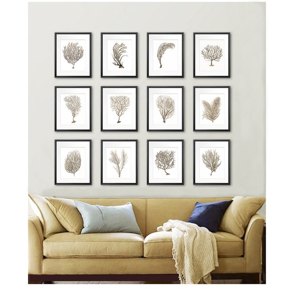 Beach Decor Etsy New Zealand